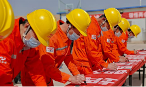 图片 8.png 图片 8.png