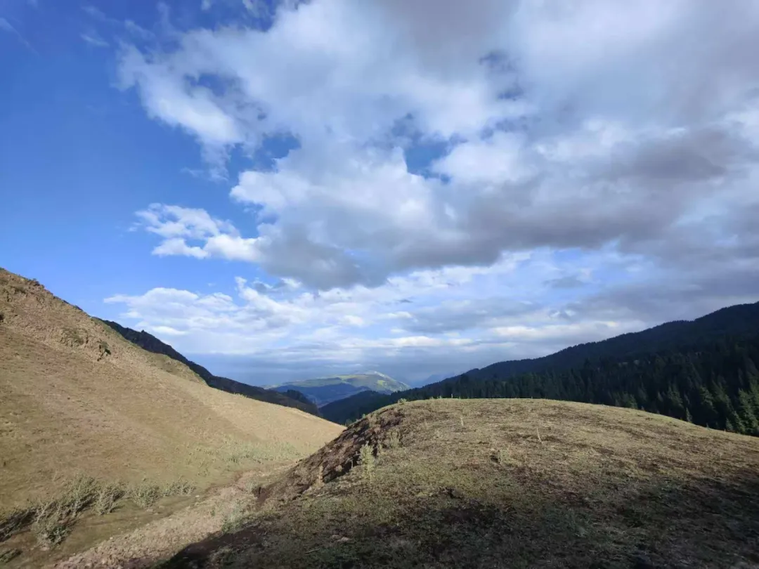 新疆有色院中标“新疆昭苏县卡拉盖雷铜矿采选项目初步设计和施工图设计”项目